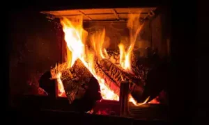 Lee más sobre el artículo El arte de la alimentación del fuego: Trucos para una llama constante